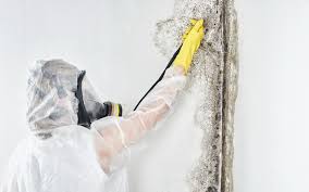 Best Forensic Mold Investigation  in Oakdale, PA